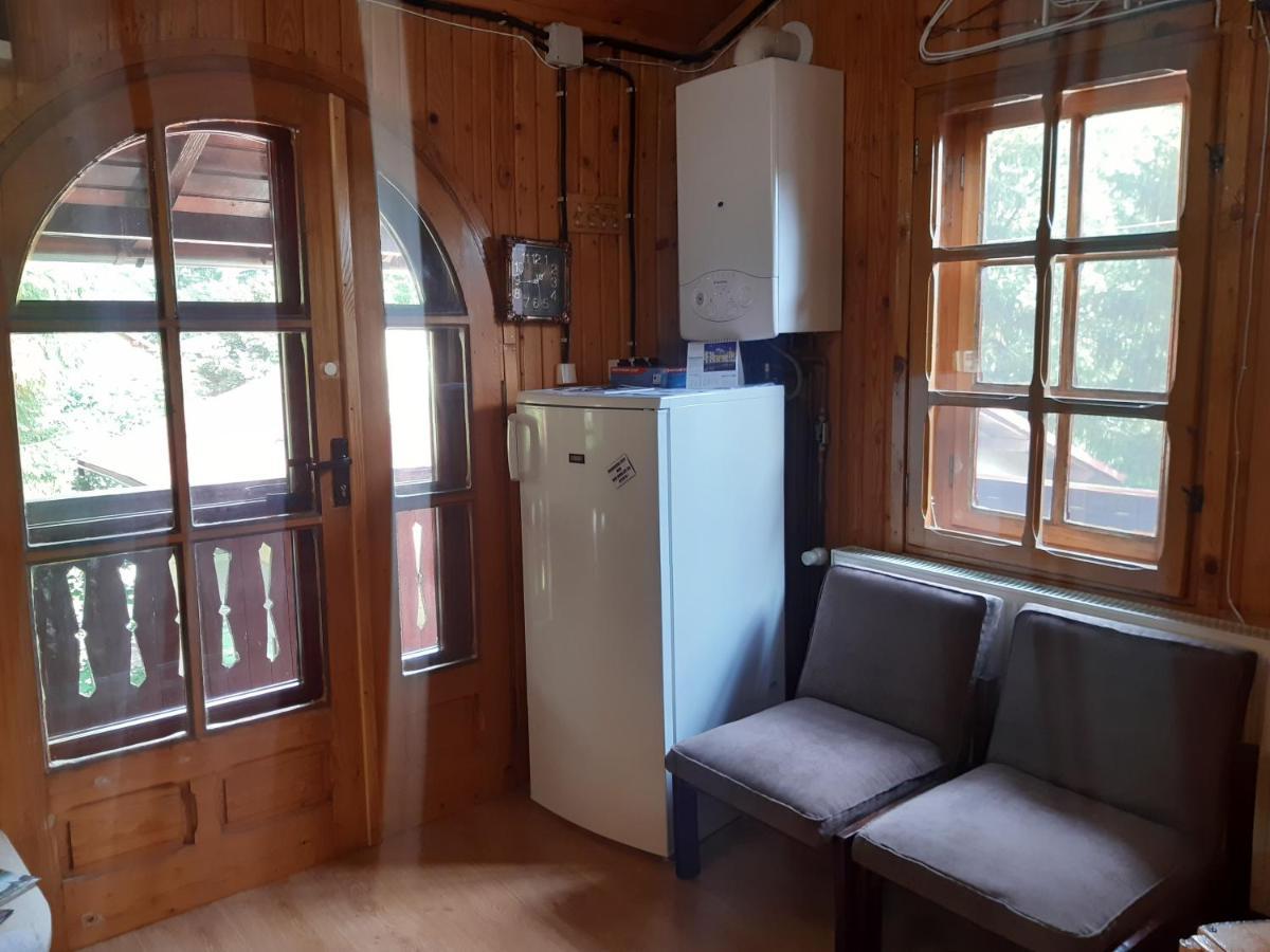 Rustic Regal Apartment Sinaia Bagian luar foto
