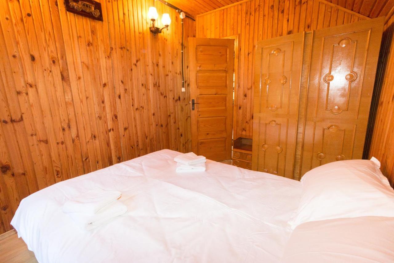 Rustic Regal Apartment Sinaia Bagian luar foto