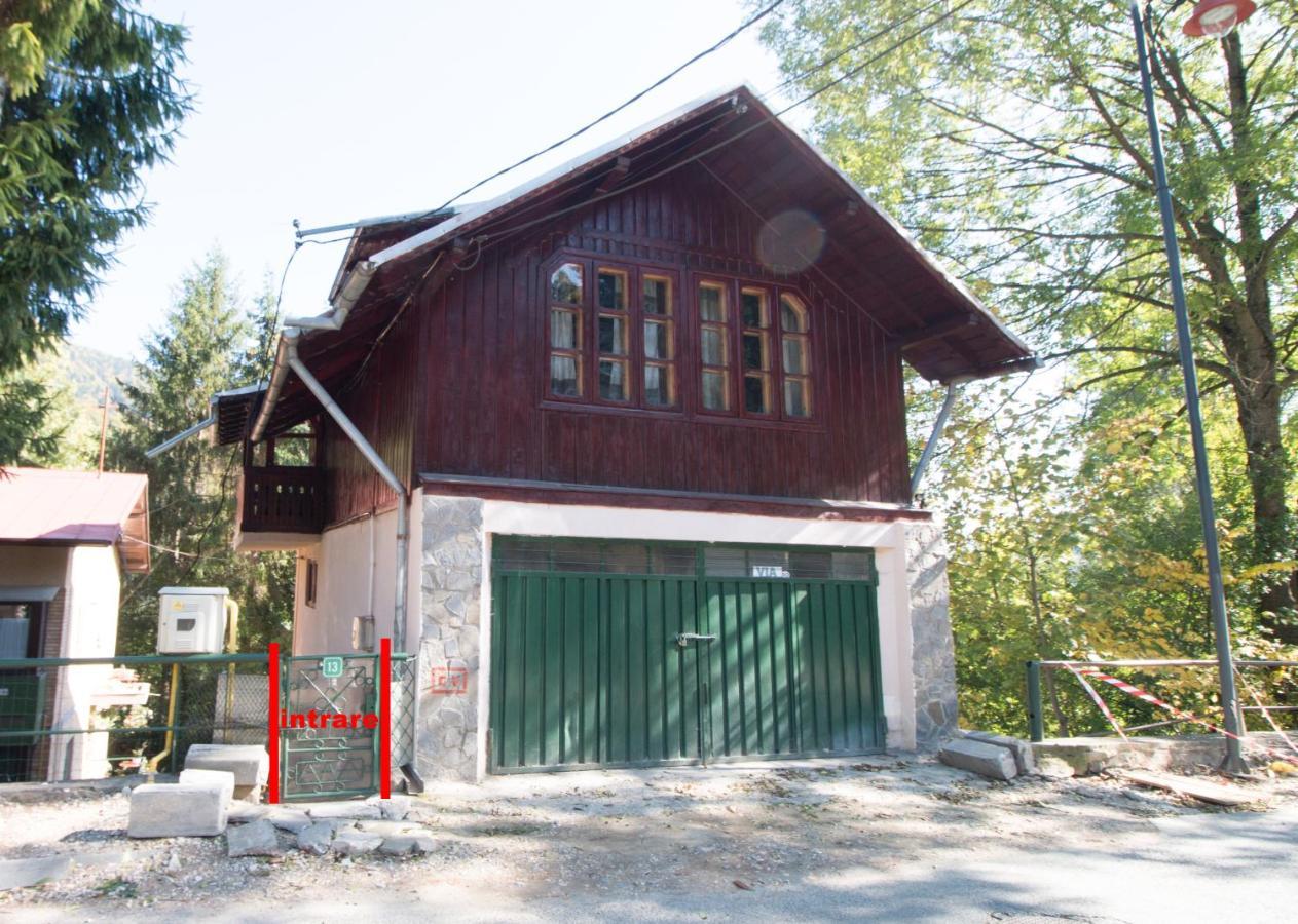 Rustic Regal Apartment Sinaia Bagian luar foto