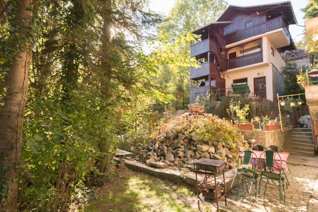 Rustic Regal Apartment Sinaia Bagian luar foto