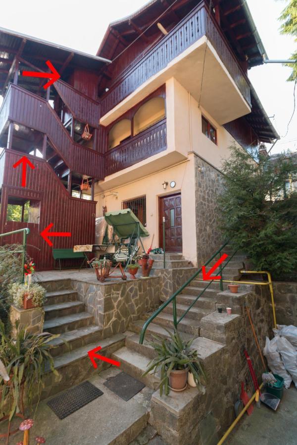 Rustic Regal Apartment Sinaia Bagian luar foto