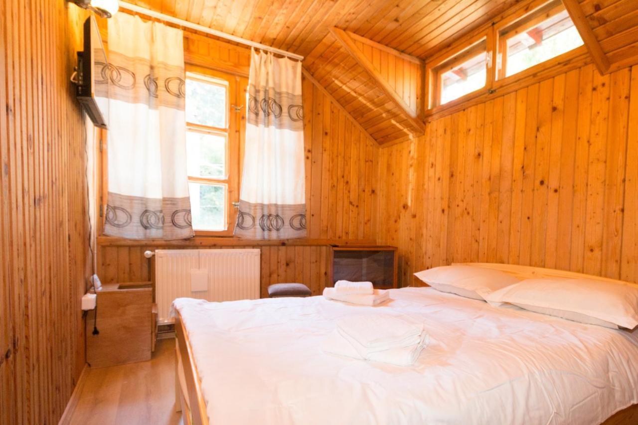 Rustic Regal Apartment Sinaia Bagian luar foto